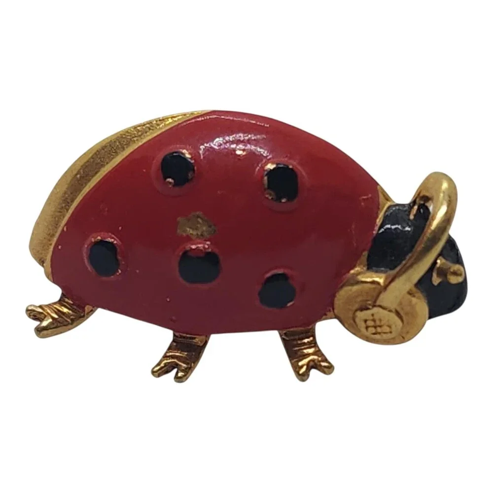 Unknown pins features ladybug